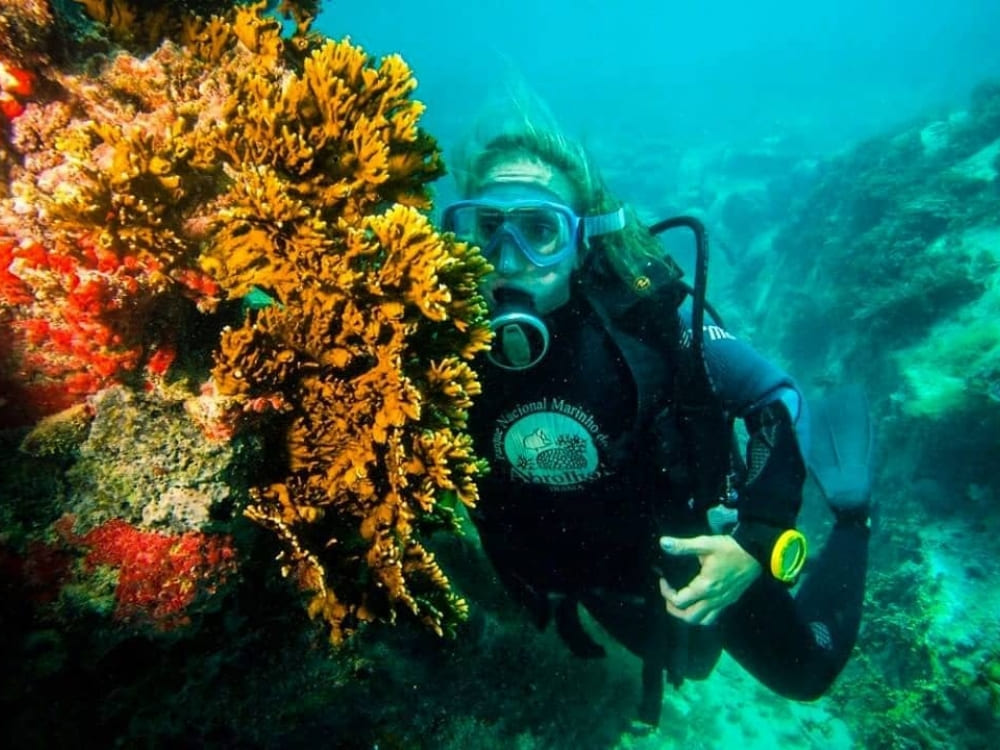 Abrolhos Archipelago in Brazil