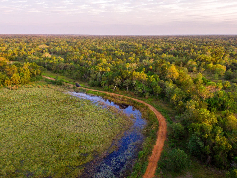 Arrivée dans le paysage ouvert du Pantanal
