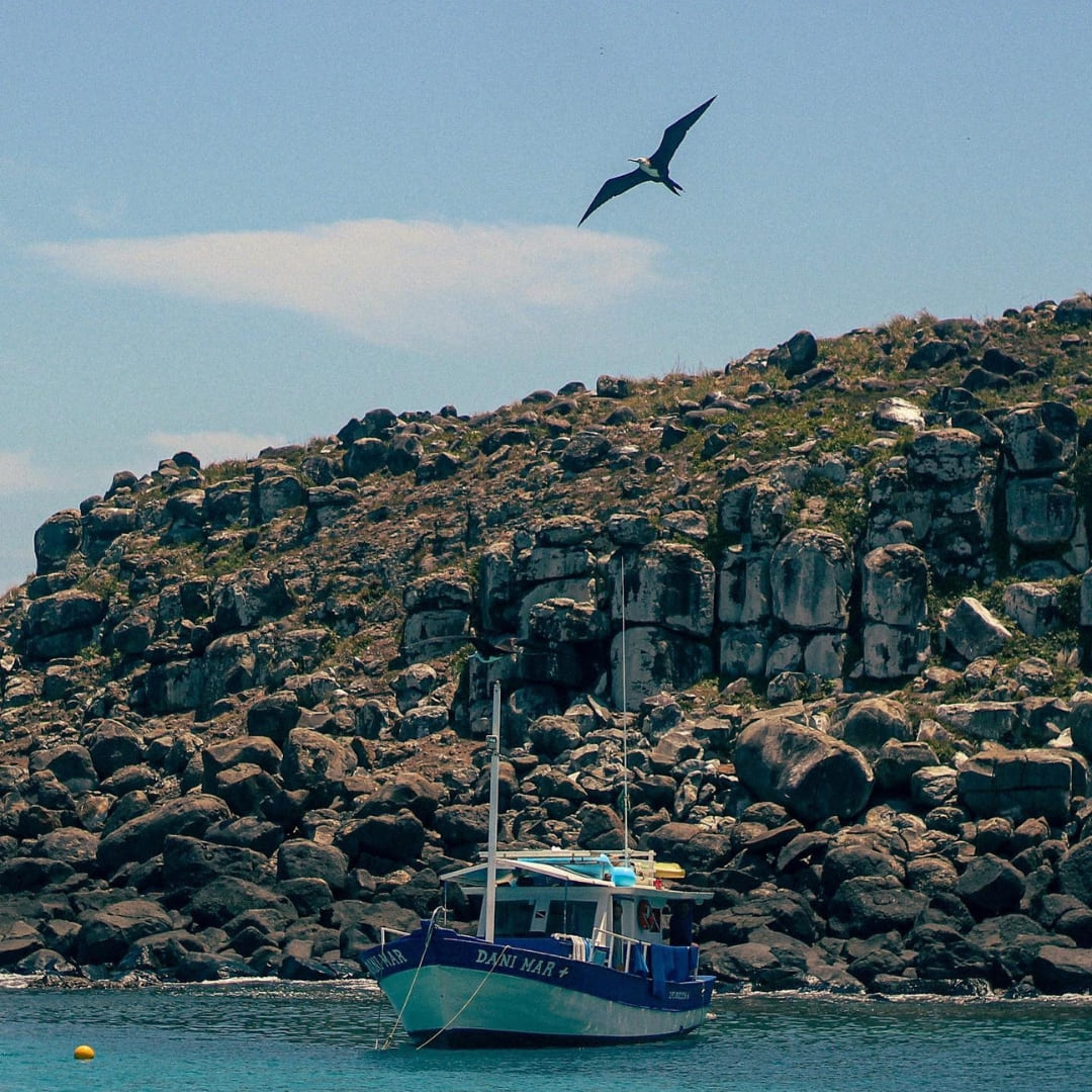 Boat at Abrolhos Bahia