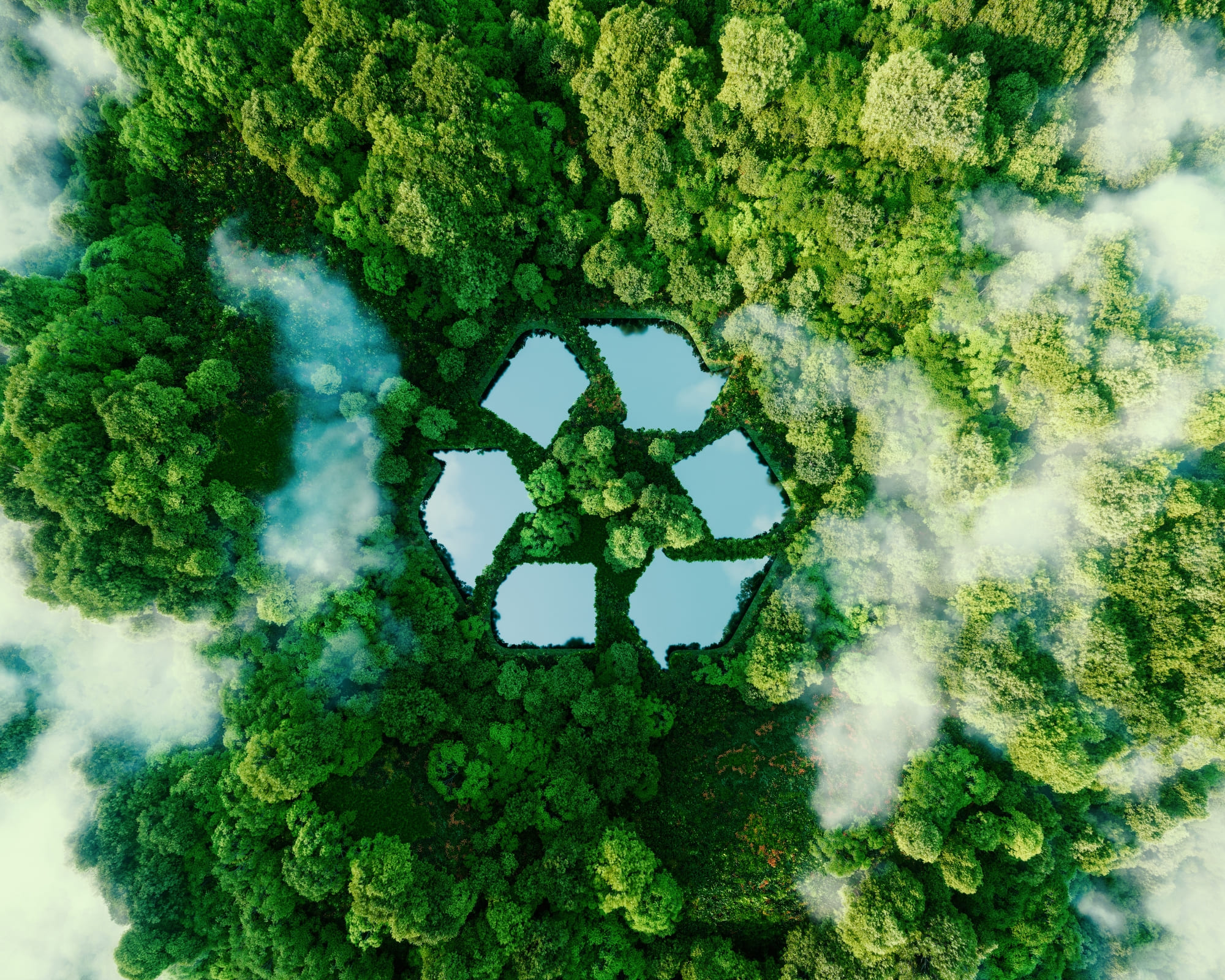 Where does my waste go? Practical tips for separating waste and supporting recycling