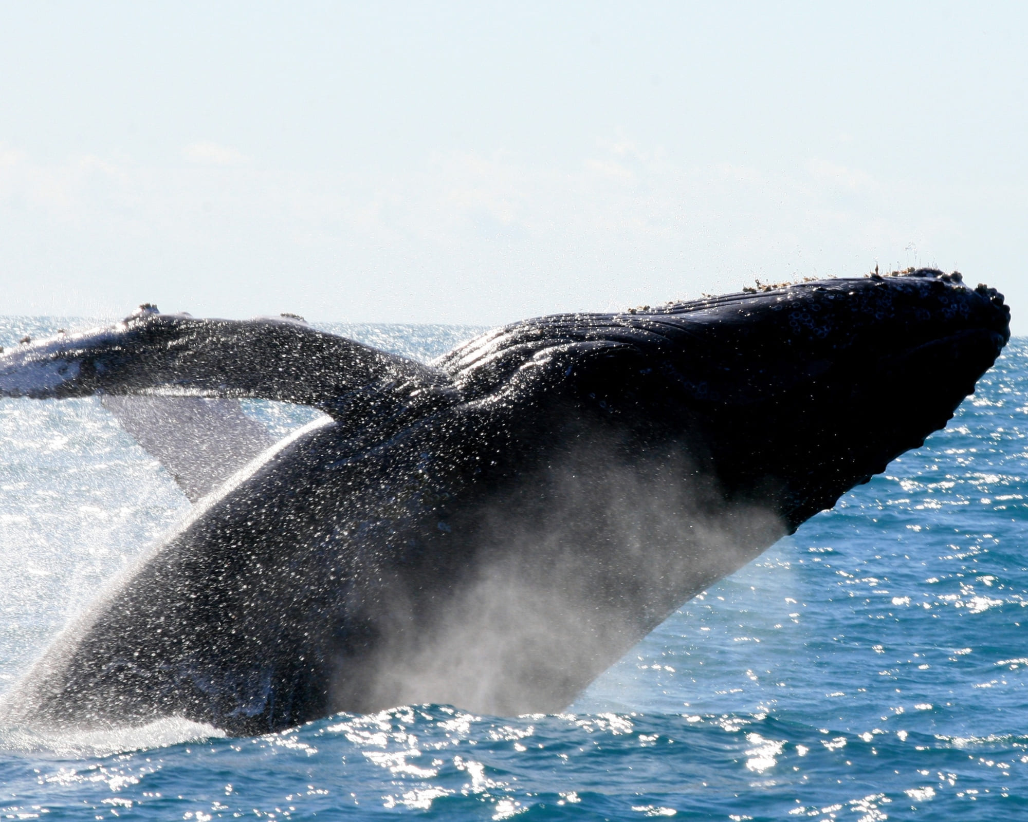 The Abrolhos Archipelago in Brazil – Travel Guide