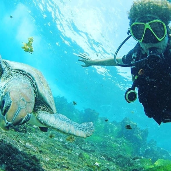 Diver in Abrolhos Marine National Park