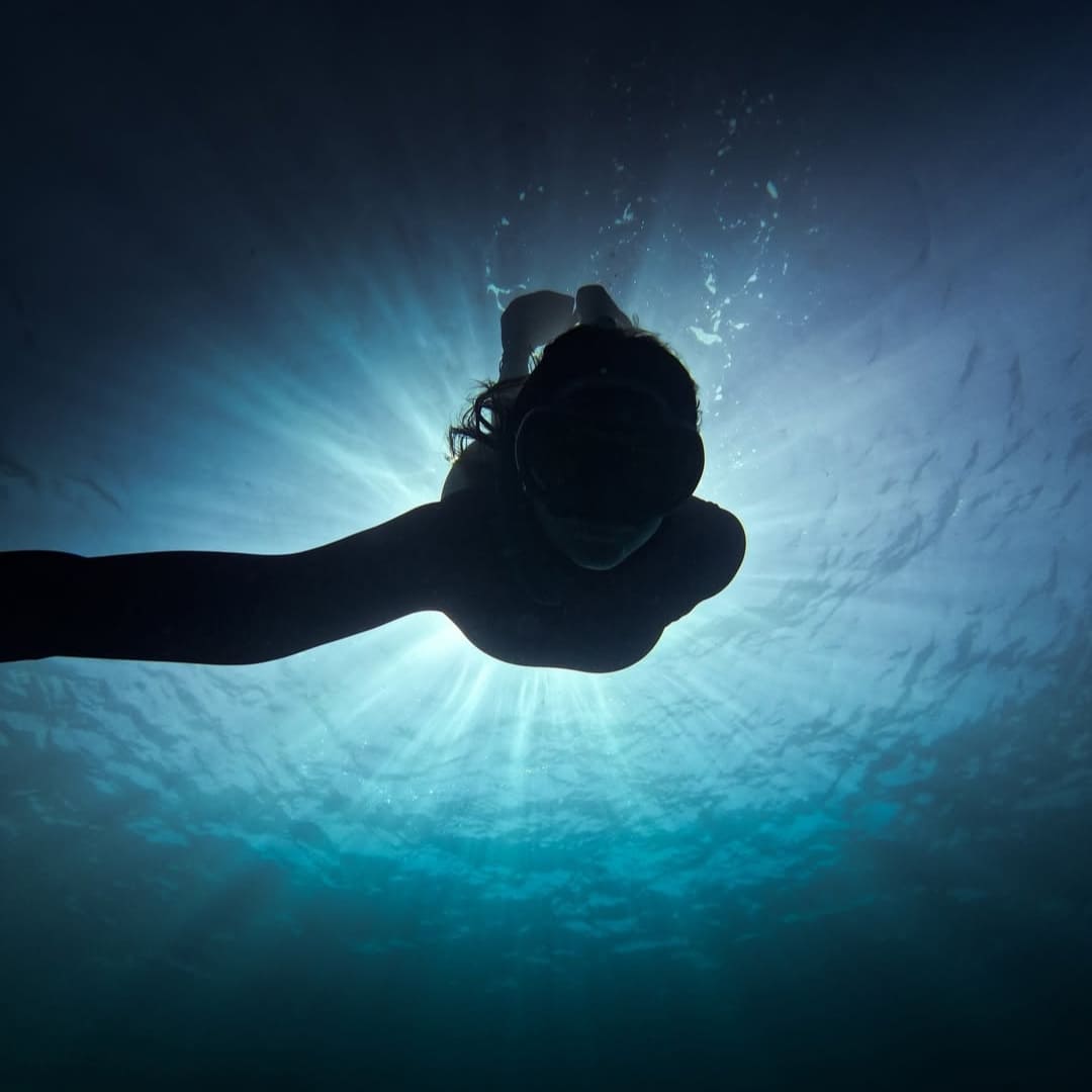 Diving in Abrolhos Bahia