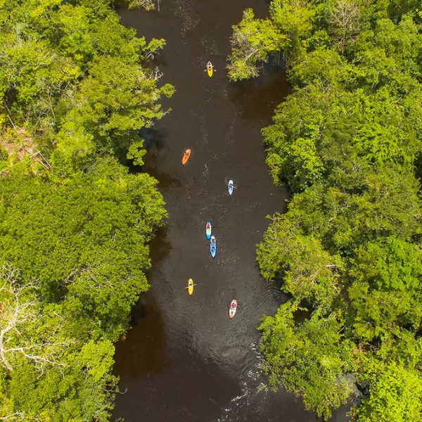 kayaking rio urubu amazon