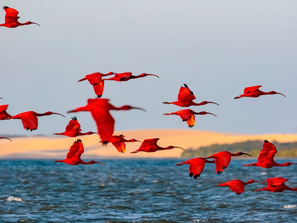 Route of emotions Guara Vermelho