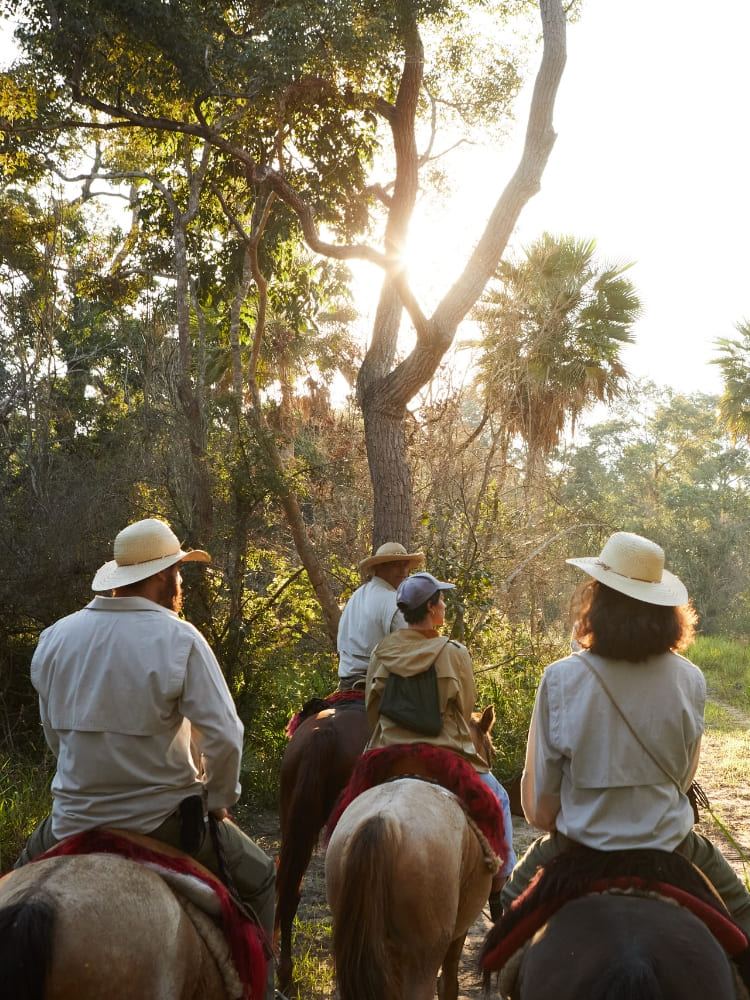 Équitation dans le Pantanal