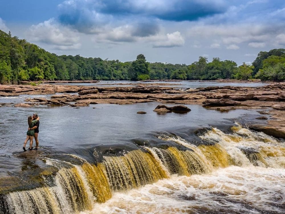 Jaú National Park