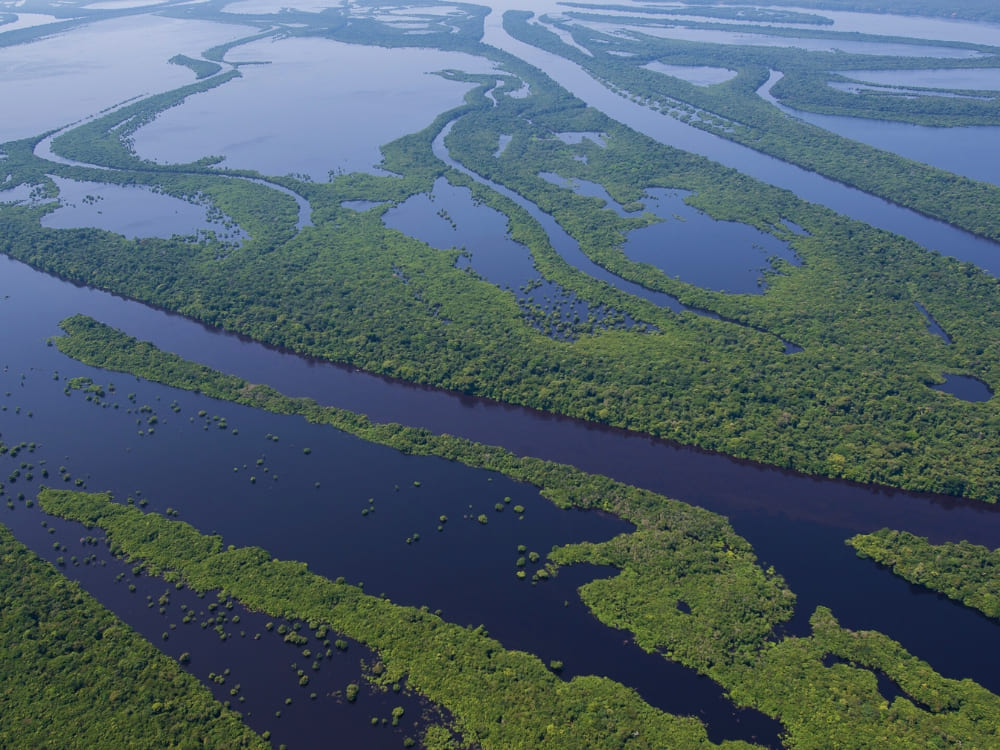 Anavilhanas National Park