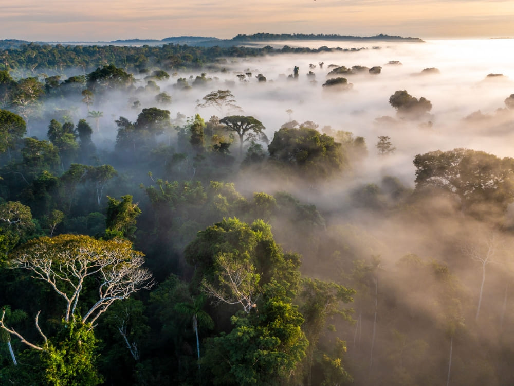 How to Choose The Best Places to Visit in the Amazon?