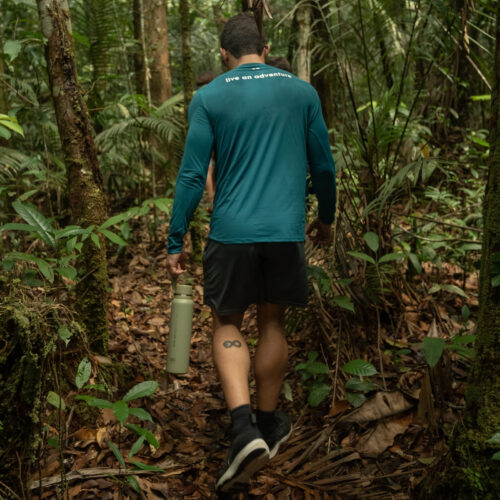 Amazon Rainforest