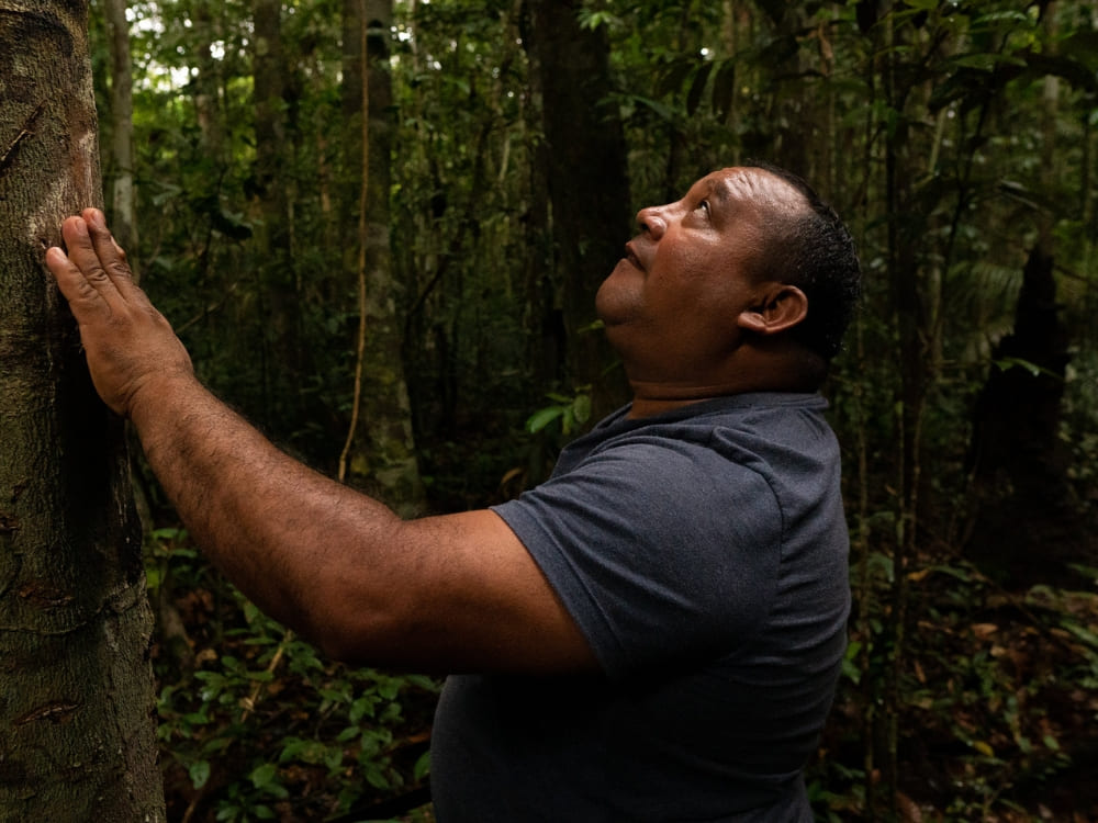 Guardians of the Amazon Rainforest - Roberto Brito