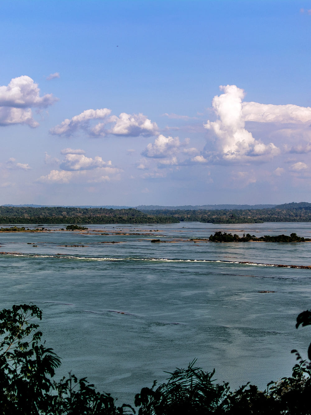 Tapajós River & Forest