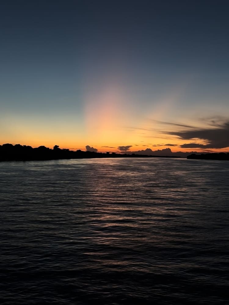 Amazon sunset