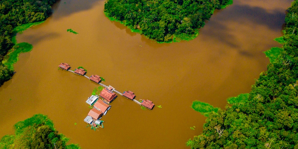 Amazon Rainforest
