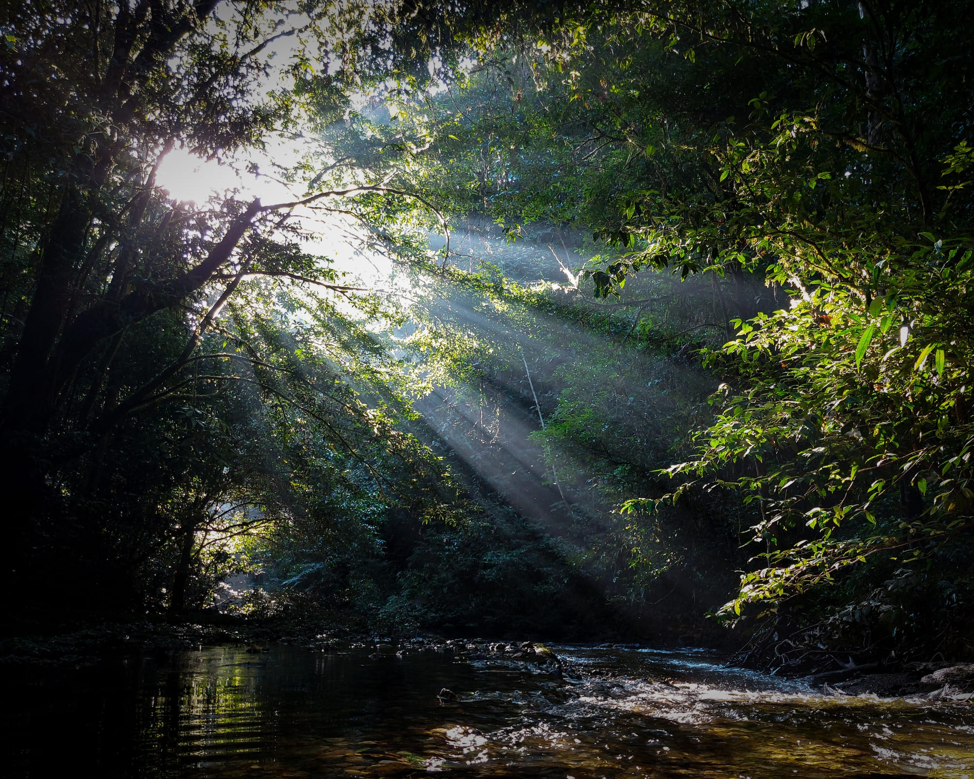 Best Places to Visit in the Amazon, Brazil