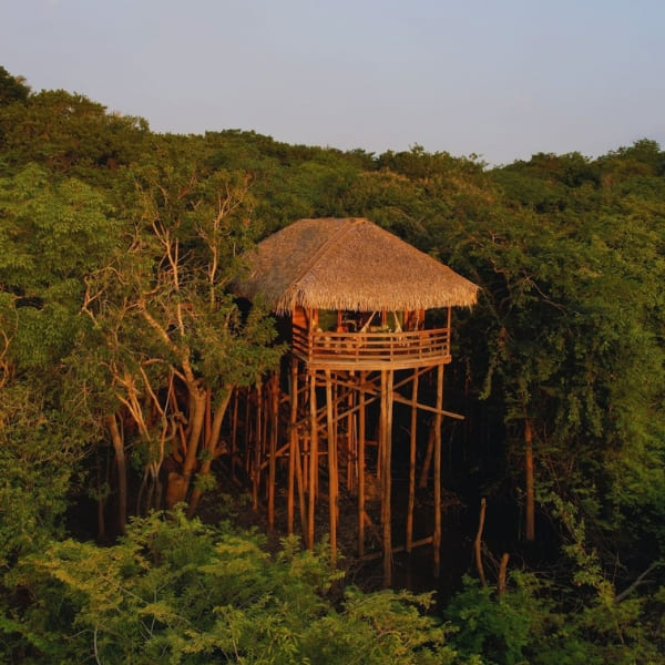 Jungle lodge tour