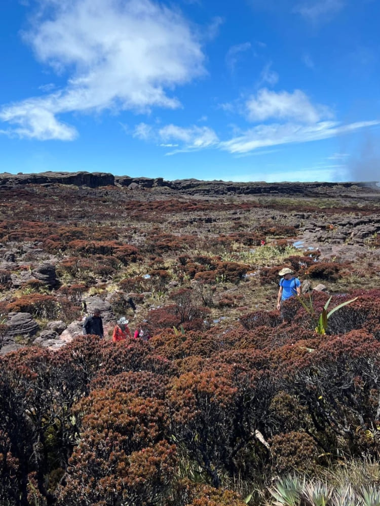 Mount Roraima