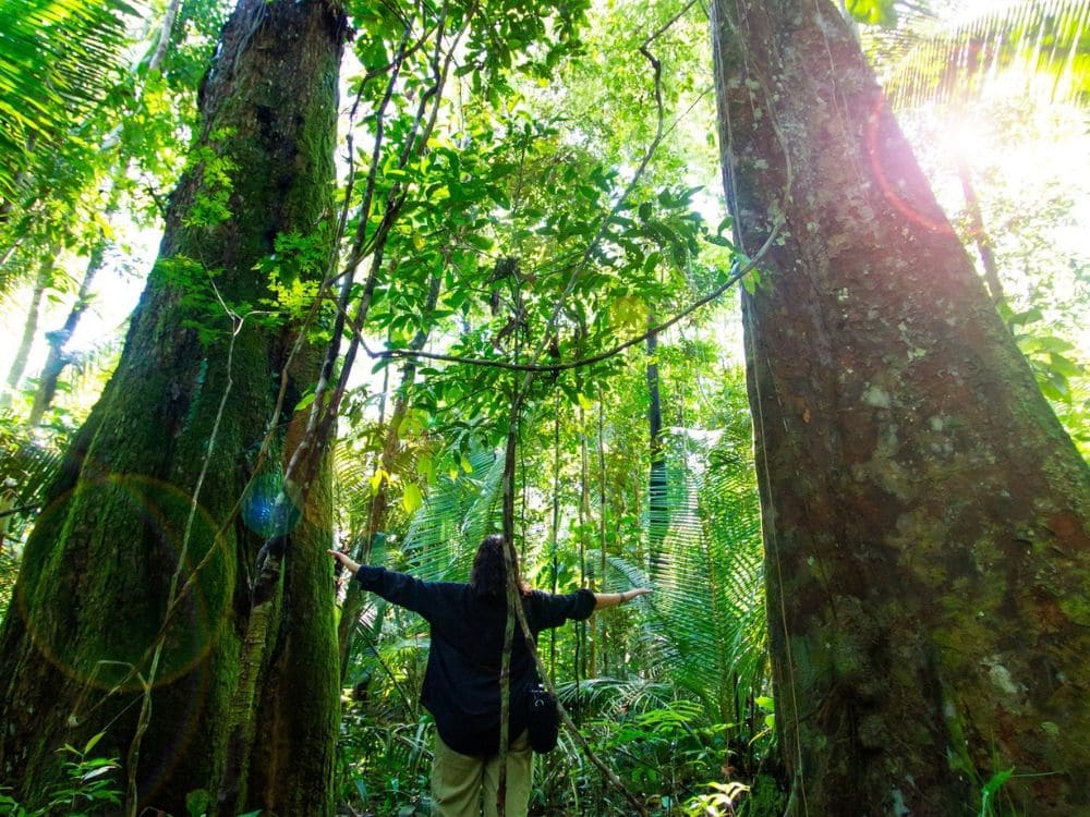 What to do in Brazil during COP30