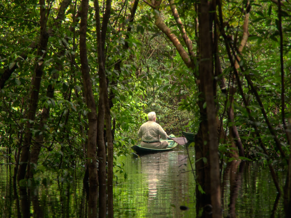 What to do in Brazil during COP30