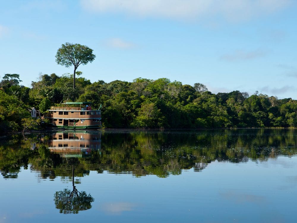 Cruise in the Amazon