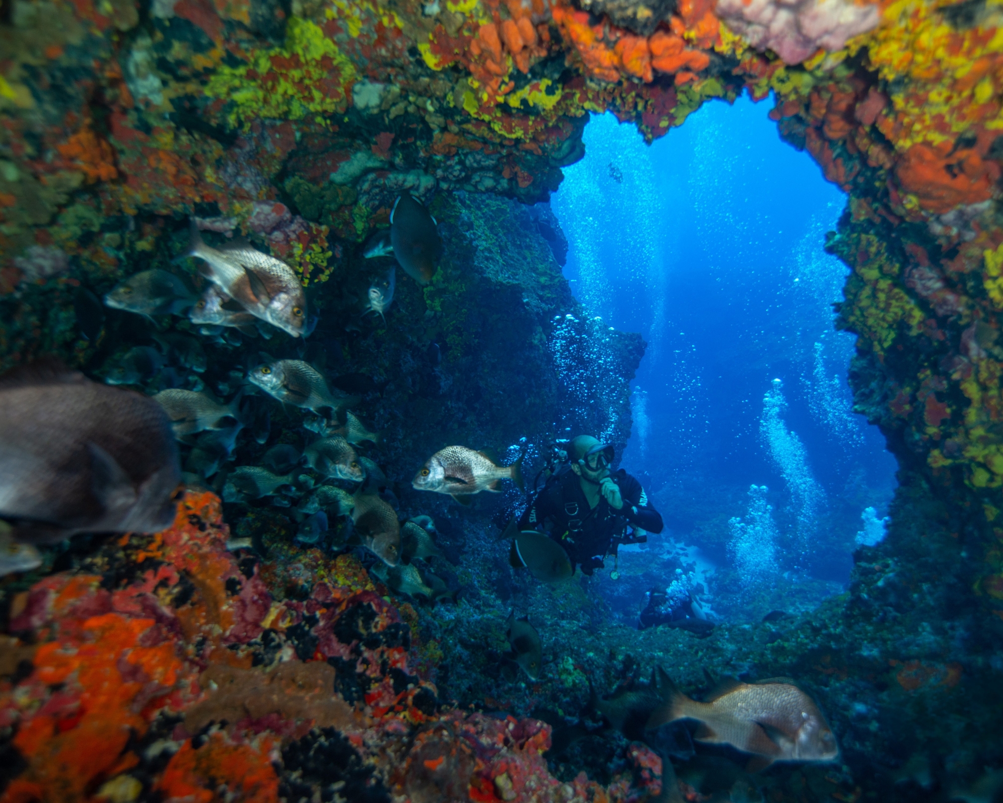 10 faits intéressants sur Fernando de Noronha que vous devez connaître