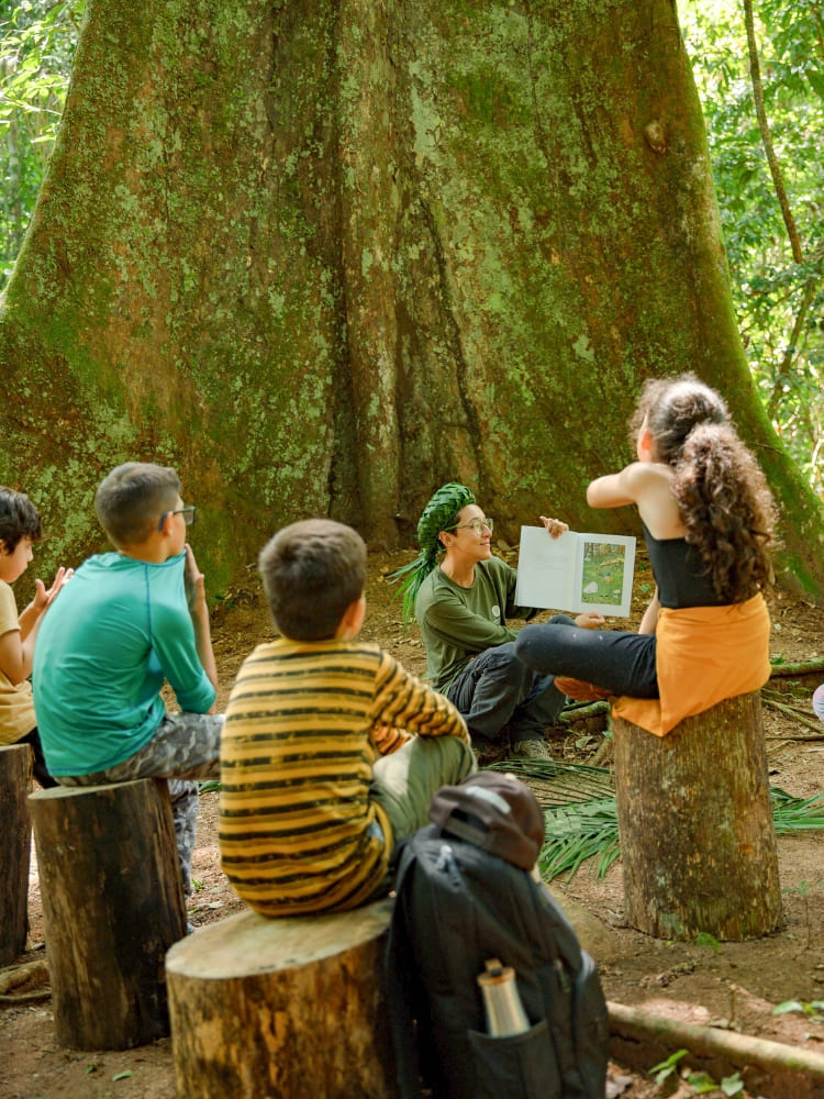 Female forest guide sitting and showing a plant book to a group of children under a large native tree.