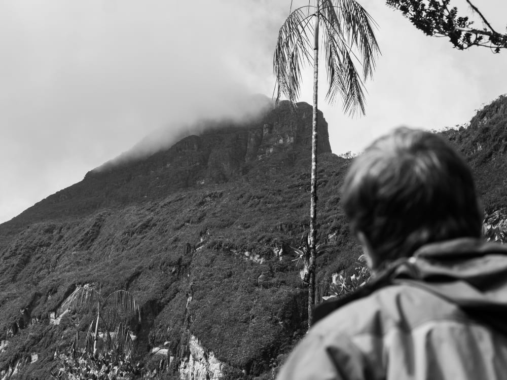 Feiten over Pico da Neblina