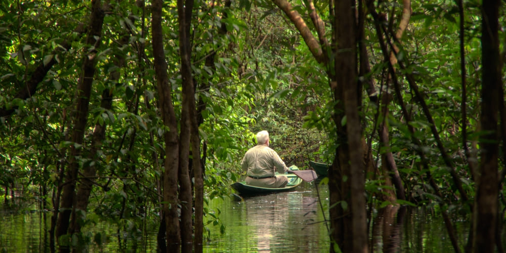 A visitor paddles a small green canoe through the dense, flooded igapó forest during the Amazon wet season.