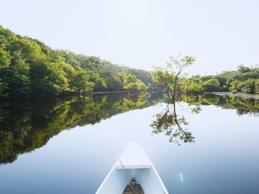 History of Anavilhanas National Park 