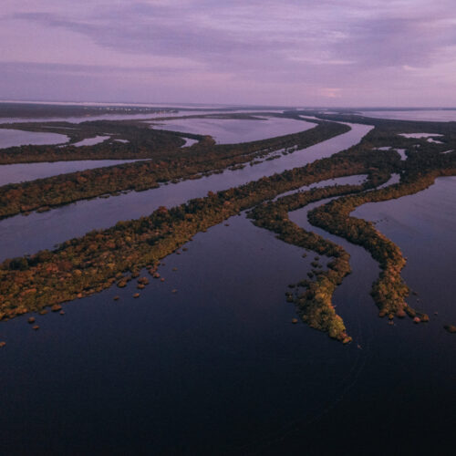 Anavilhanas National Park