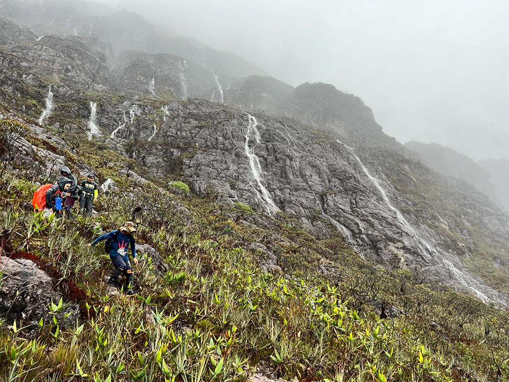Trek Pico da Neblina