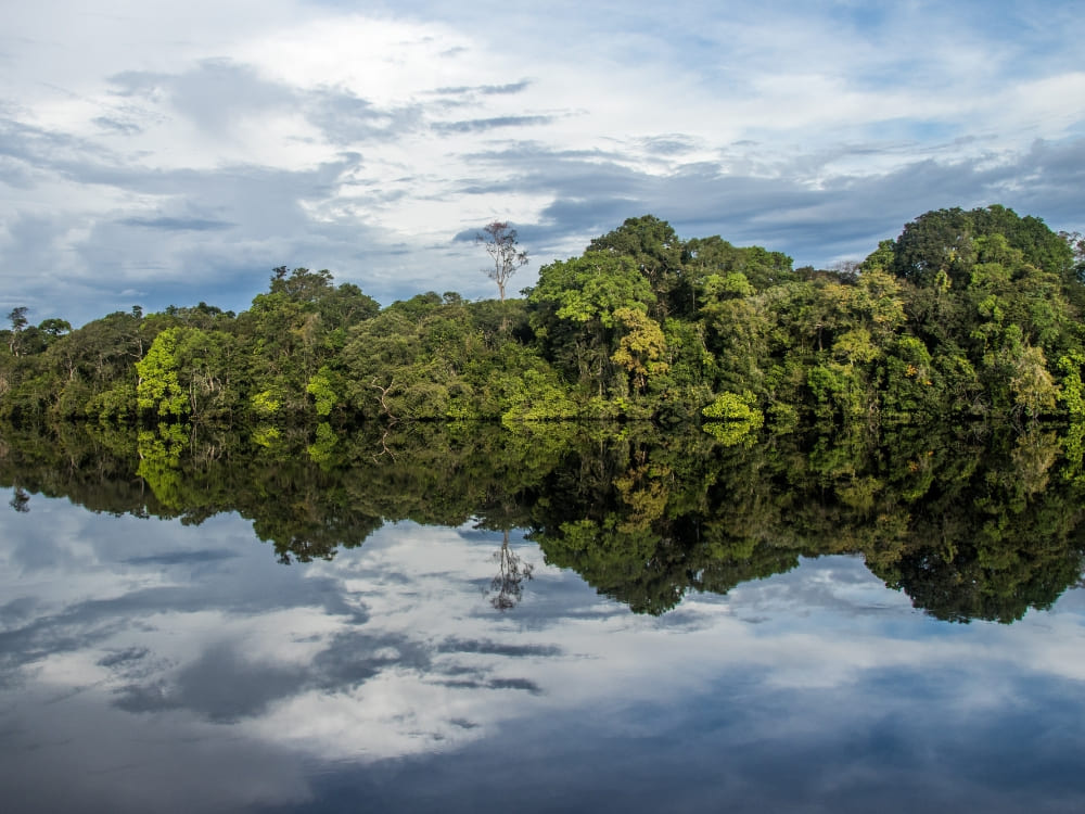 Nationaal park Jaú