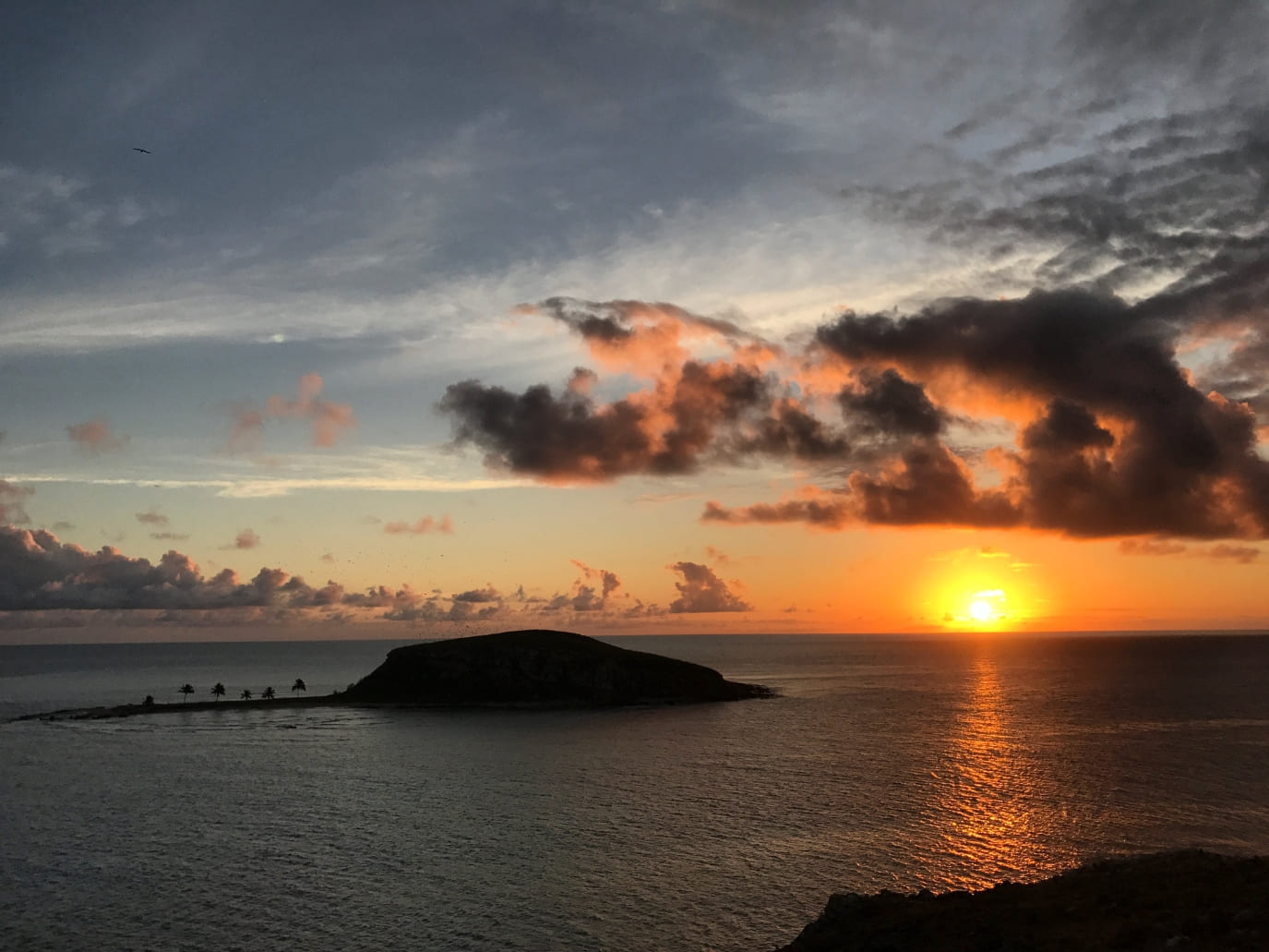 Facts About Abrolhos