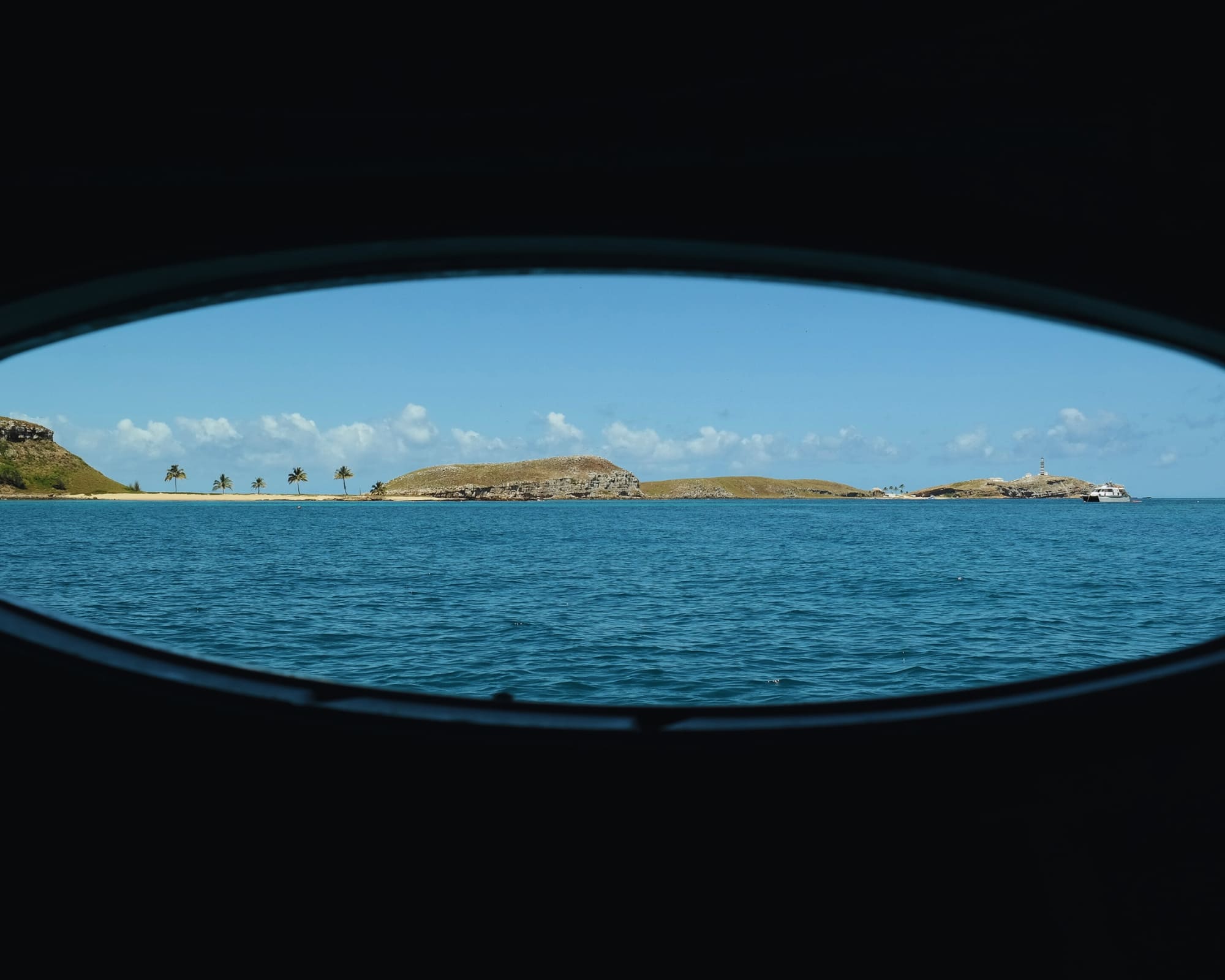 10 Facts About Abrolhos You Need To Know