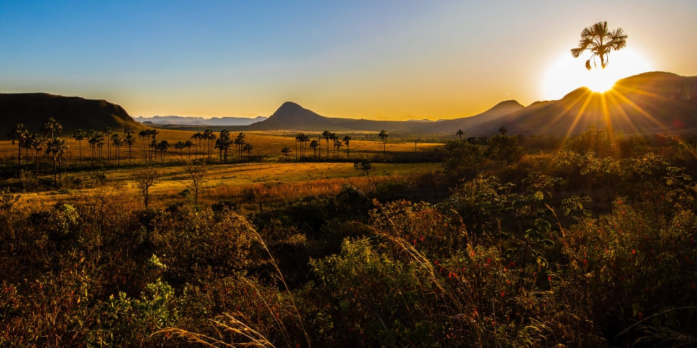 Golden sunset illuminating the hills and palm trees of the Brazilian Cerrado in Chapada dos Veadeiros.
