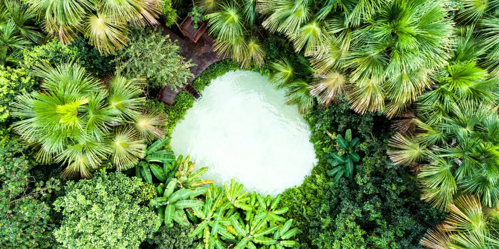 Top-down view of a crystal-clear fervedouro natural pool surrounded by dense green vegetation in Jalapão.