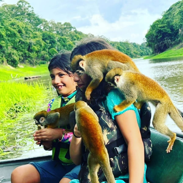 Monkeys Amazon Rainforest