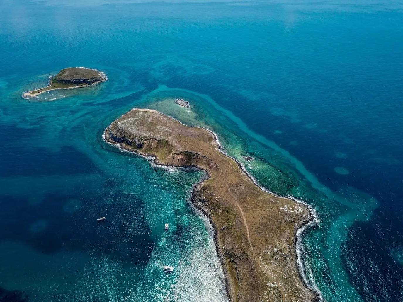 Facts About Abrolhos