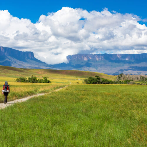 Tips for Mount Roraima