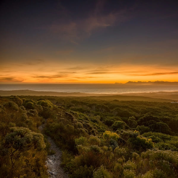 Lapa Rios (Osa Peninsula, Costa Rica)