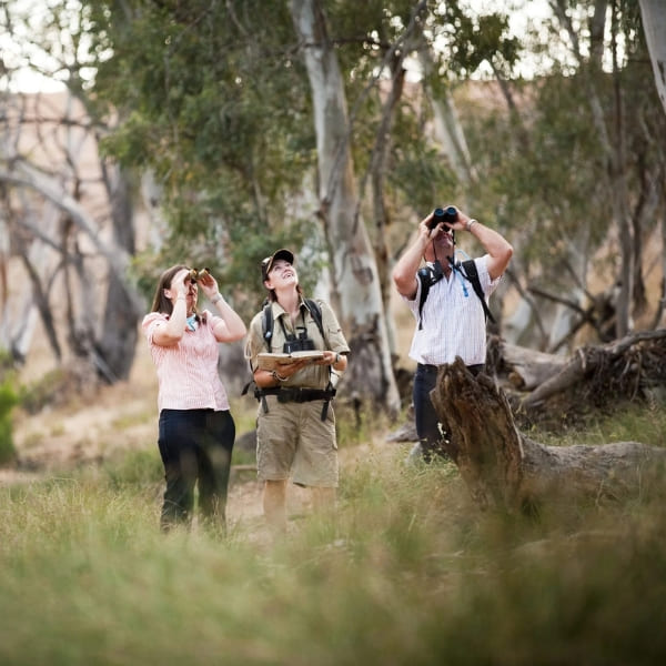 Arkaba (Flinders Rangers, South Australia)
