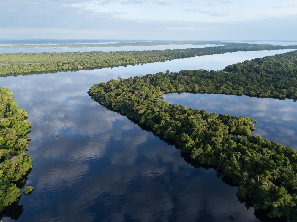 Amazon Rainforest (Amazonas)