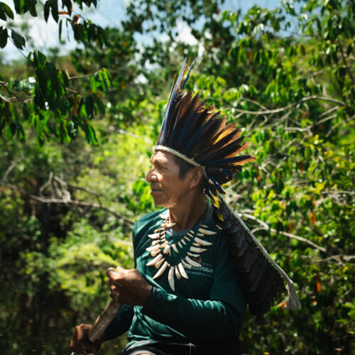 Turismo que Mantém a Amazônia Viva