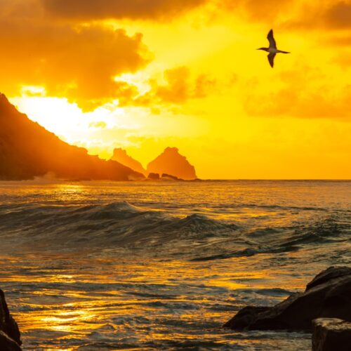 Luxury tours in Brazil