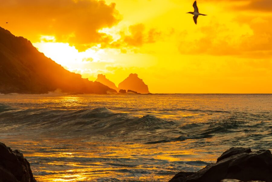 Luxury tours in Brazil