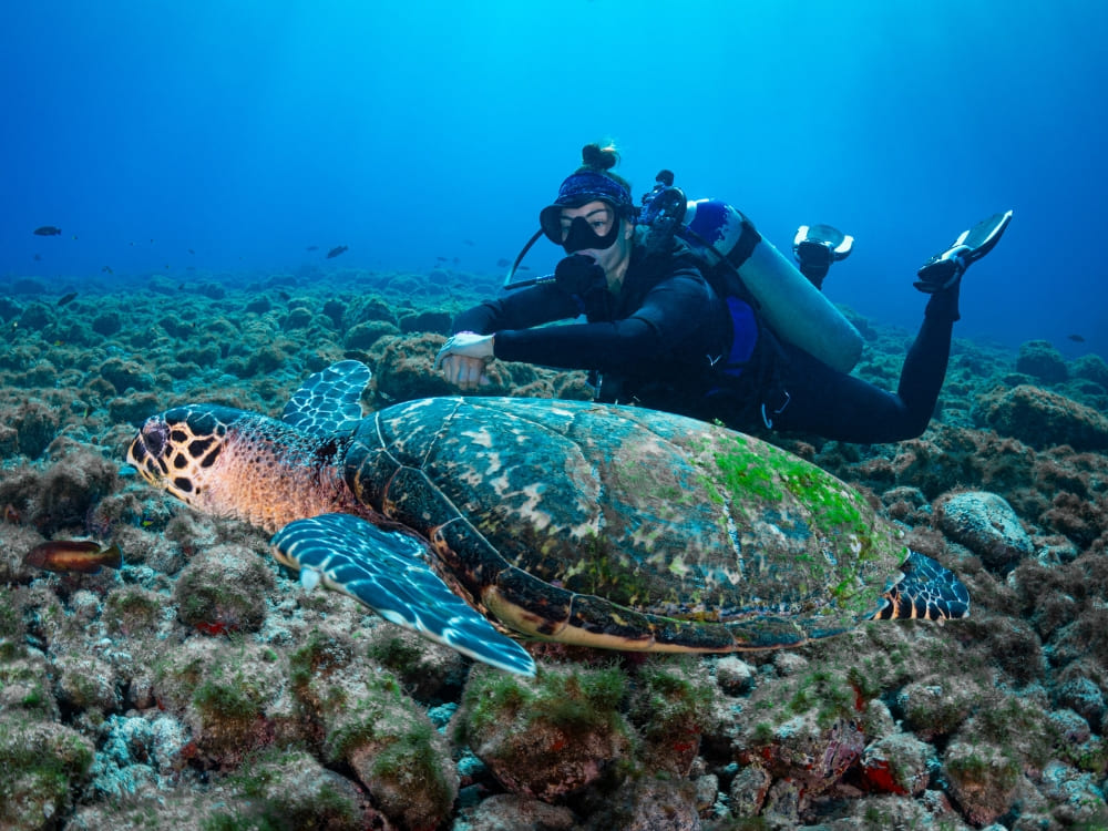 Top ecotourism destinations in Brazil