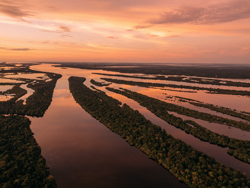 Vista aérea das ilhas labirínticas e canais estreitos do Arquipélago de Anavilhanas no Rio Negro.