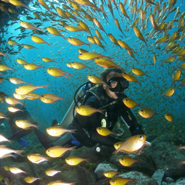 Mergulho em Fernando de Noronha
