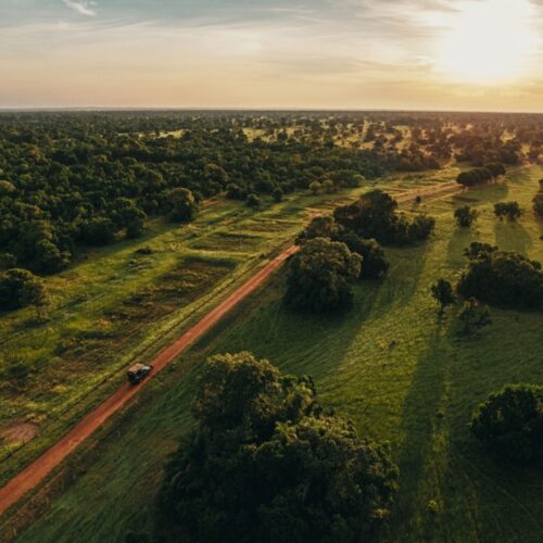 Aerial view of a red dirt road cutting through green wetlands. This route is the main way for travelers wondering how to get to the Pantanal via North Pantanal or South Pantanal.