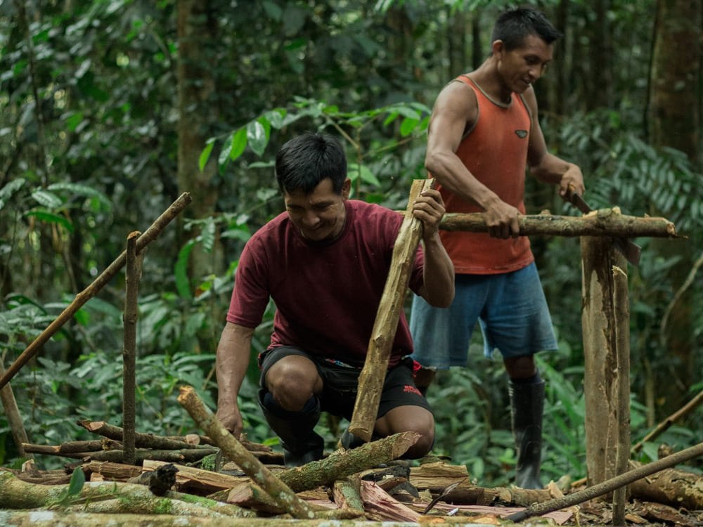 Dois guias locais construindo uma estrutura de madeira durante um passeio de sobrevivência na selva na Amazônia.